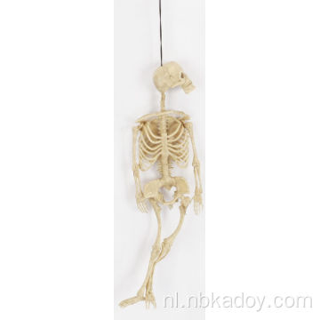 Hoge kwaliteit plastic full body Halloween skeleton